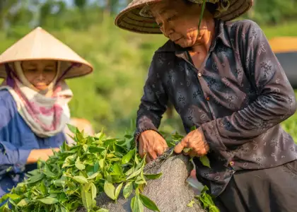 Visit These 9 Farms in Hong Kong to Experience Countryside Living featured