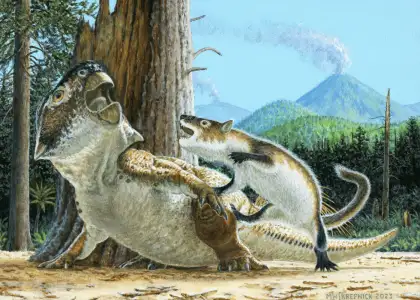 Revising the Cretaceous Era Fossil Unveils Mammal Preying on Dinosaur Header