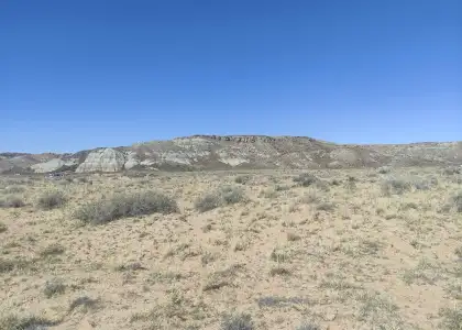 The Silent Guardians of Our Soil The Unseen Power of Biocrusts Header