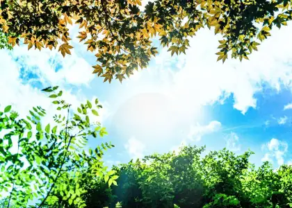 Header Hong Kong Experiences Hottest Summer August 2023 Shatters Records