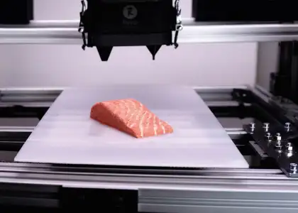 Header Revo Foods Debuts Nutritious 3 D Printed Vegan Salmon