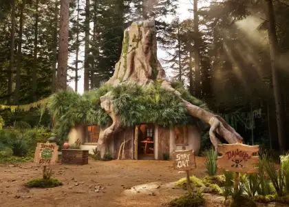 Header Shrek Swamp Airbnb