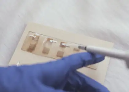 Electric Skin A Renewable and Compostable Energy Source