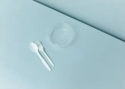 Phase One Ban on Single Use Plastics at Restaurants to be Delayed Report