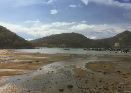 Hong Kongs Conservation Funding Boosts Biodiversity Projects Header