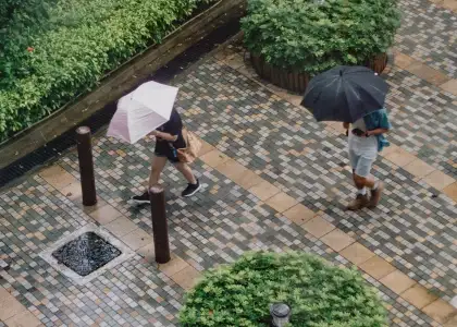 Sea Levels Rising Pose Catastrophic Flood Risk Warns Upcoming Study