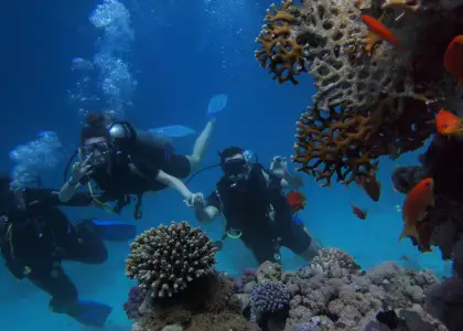 Love Knows No Gender Whether Youre On Land Or Underwater