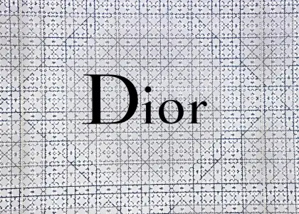 Diors Latest Micro Lady Handbag Promotes Light Packing