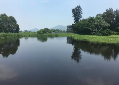 Why Are the Hong Kong Wetlands Under Threat Header