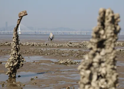 Untitled design 2024 02 28 T122207 256