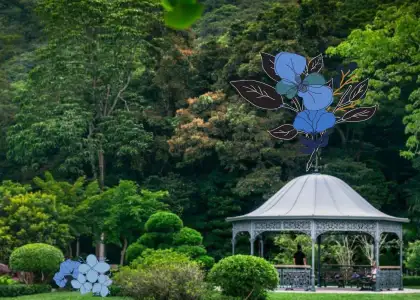 Places that Dont Feel Like HK header