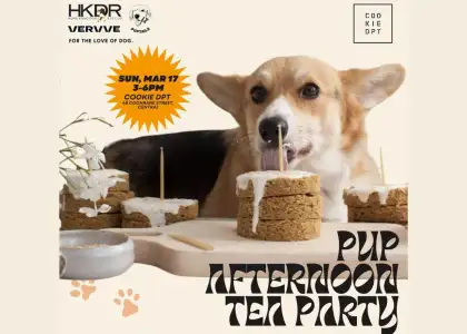 COOKIE DPT Afternoon Tea