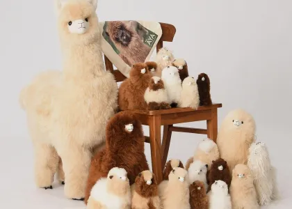 AYA Alpaca Giveaway header