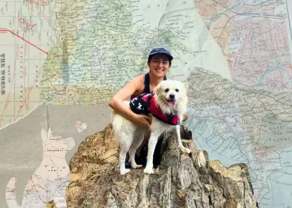 Exploring Dogs Stephanie Lown header