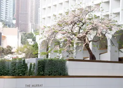 The Murray HK Transforms Into a Cassia Bloom Paradise