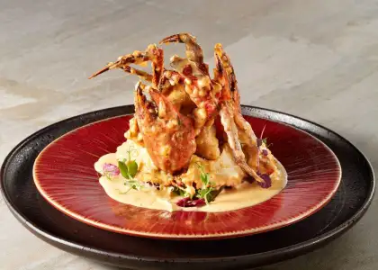 Can Lah R Eopens IFC branch header