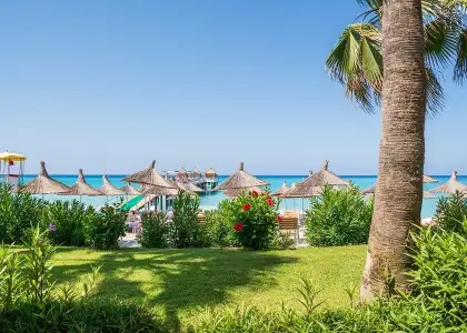 Palm and tropical beach tourism vacation concept 2021 09 03 22 27 57 utc