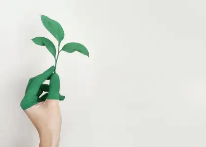 Help Save the Planet One Click at a Time With These Eco Friendly Groups in Singapore