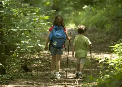 Hike and Learn Tree Species Along the Way With These Family Friendly Hiking Routes in Hong Kong