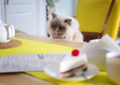 Untitled design 2024 09 12 T152342 918