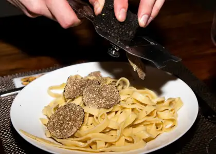 Vincent dorig i PCD8 Rpve4 unsplash