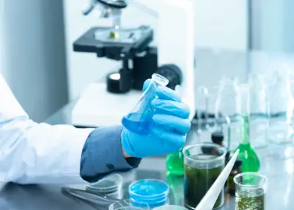 20241104 Scientists Stanford List