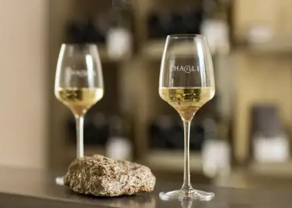 Untitled design 2024 11 22 T115451 711