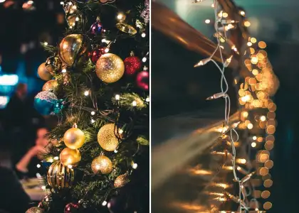 Hanging Christmas Lights Main