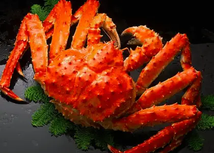 Five Premium Grocery Stores for Ingredients That Will Elevate Your Home Cooking