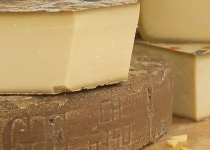 20220721 Where to Buy Authentic European Cheese in Hong Kong header