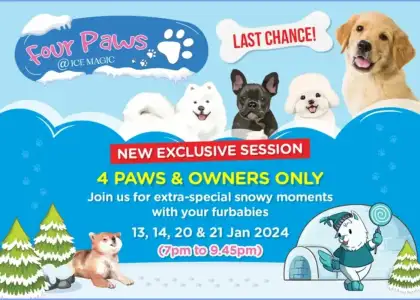 4 Paws Ice Magic 1