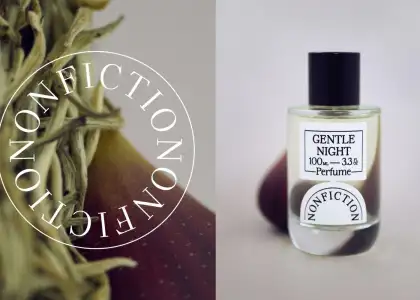 Untitled design 2024 12 19 T123208 424