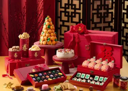 Untitled design 2025 01 02 T104646 623