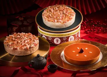 Untitled design 2025 01 06 T143000 663