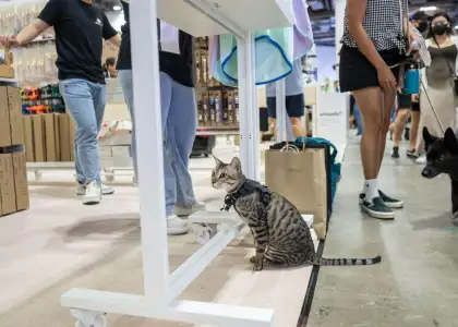 Untitled design 2025 01 24 T122638 799