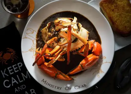 Untitled design 2025 02 07 T112829 033