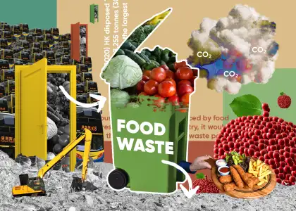 Artwork Chomp Food Waste