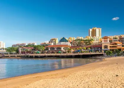 Best Things to See Do Eat Drink on Aug 19 21 2022 header