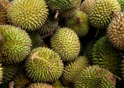 Durian