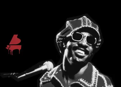 Stevie wonder tribute