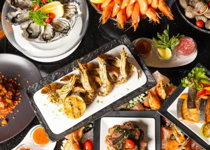 515438849 1144033154427787 5899866609258090443 n