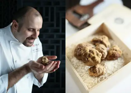 20251024 cucina white truffle