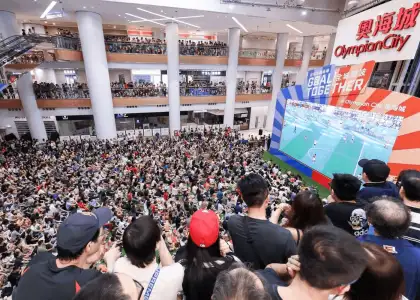 Where to Watch 2022 FIFA World Cup Matches in Hong Kong header