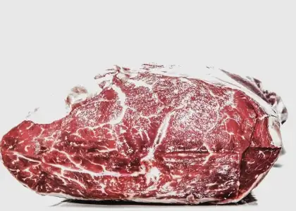 From Lab to Table Singapore O Ks Worlds First Production Facility for Lab Grown Meat