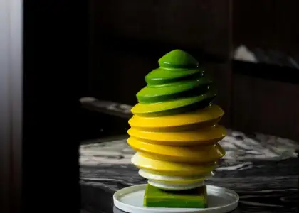 Imresizer mandarin egg