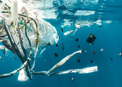 Microplastics in HK Seas Header Image