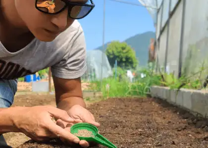 1 Understanding Hong Kong Crop Production with Living Farms Godfrey Leung
