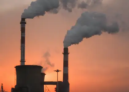 Alexander tsang pp N1z R Qr C Eg unsplash