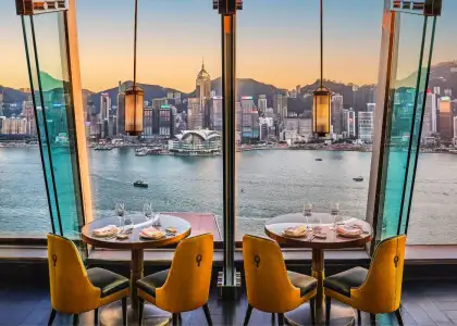 Header Vista Delish Eats