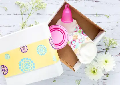 HEADER Waste Free Menstrual Products for a Waste Free Period Cycle